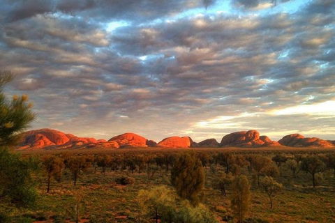 5-Hour Kata Tjuta Sunrise Tour From Ayers Rock With Breakfast - Accommodation Port Macquarie 0