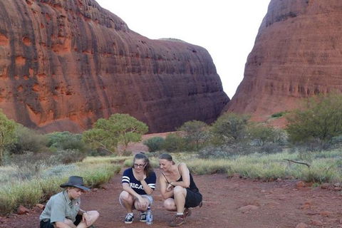 5-Hour Kata Tjuta Sunrise Tour From Ayers Rock With Breakfast - Accommodation Port Macquarie 3