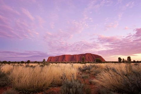 Sunset Australian Barbecue Dinner In Uluru - Accommodation Port Macquarie 0