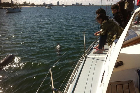 Gold Coast Sailing Cruise With Sparkling Wine & Nibbles Platter - Accommodation Port Macquarie 3