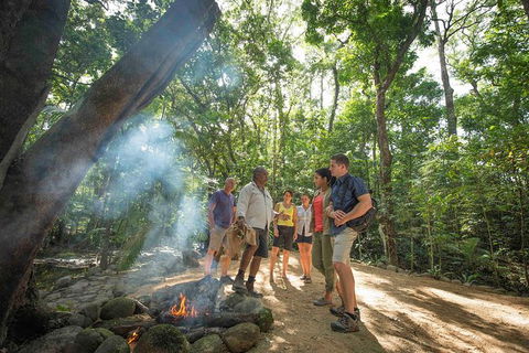 Aboriginal Cultural Daintree Rainforest Tour From Cairns Or Port Douglas - Accommodation Port Macquarie 3