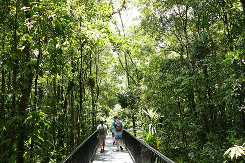 Aboriginal Cultural Daintree Rainforest Tour From Cairns Or Port Douglas - Accommodation Port Macquarie 4
