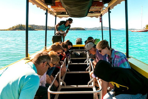Airlie Beach Glass Bottom Boat Tour - Accommodation Port Macquarie 5