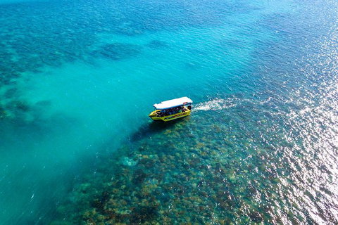 Airlie Beach Glass Bottom Boat Tour - Accommodation Port Macquarie 3