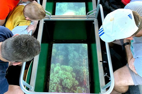 Airlie Beach Glass Bottom Boat Tour - Accommodation Port Macquarie 2