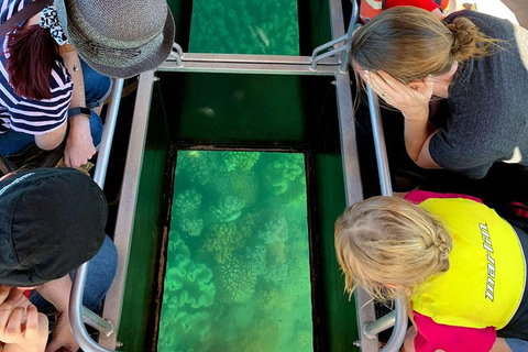 Airlie Beach Glass Bottom Boat Tour - Accommodation Port Macquarie 11