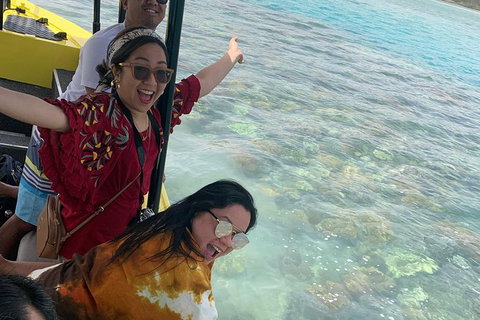 Airlie Beach Glass Bottom Boat Tour - Accommodation Port Macquarie 6