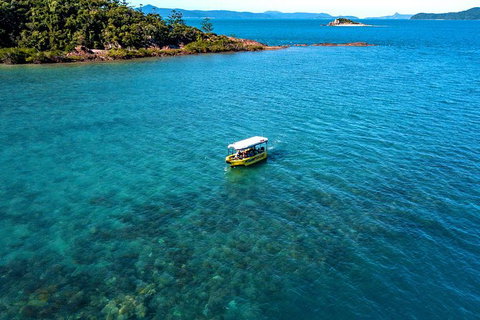 Airlie Beach Glass Bottom Boat Tour - Accommodation Port Macquarie 8