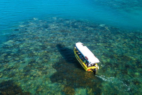 Airlie Beach Glass Bottom Boat Tour - Accommodation Port Macquarie 9