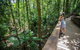 Daintree Rainforest, Cape Tribulation And Bloomfield Track Small Group Tour - thumb 3