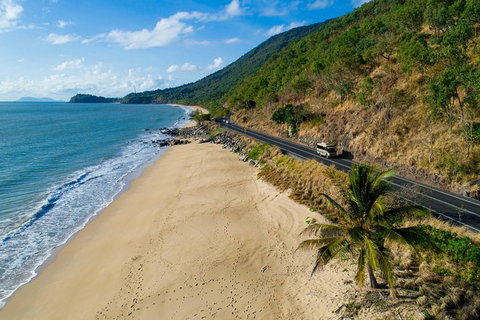 Daintree Rainforest, Cape Tribulation And Bloomfield Track Small Group Tour - Accommodation Port Macquarie 4