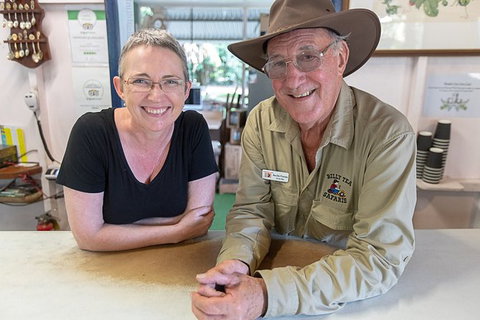 Daintree Rainforest, Cape Tribulation And Bloomfield Track Small Group Tour - Accommodation Port Macquarie 6