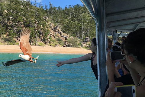 Aquascene Magnetic Island Discovery Tour - Accommodation Port Macquarie 2