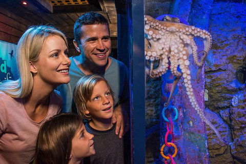 SEA LIFE Sunshine Coast Aquarium Entrance Ticket - Accommodation Port Macquarie 5