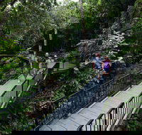 4-Day Cairns with Great Barrier Reef and Daintree Rainforest - Accommodation Port Macquarie