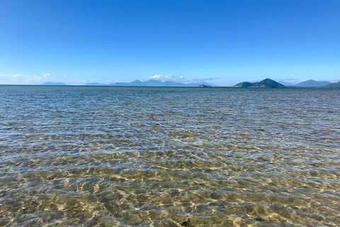 Exclusive Double Island Boat Tours From Palm Cove - Accommodation Port Macquarie 12
