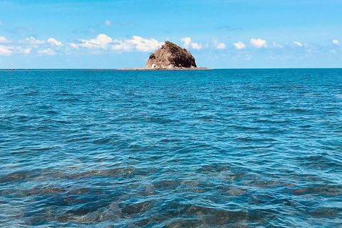 Exclusive Double Island Boat Tours From Palm Cove - Accommodation Port Macquarie 10