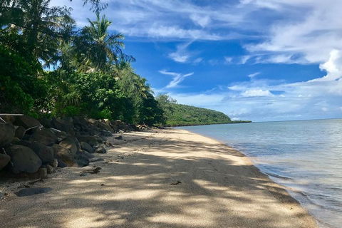 Exclusive Double Island Boat Tours From Palm Cove - Accommodation Port Macquarie 4