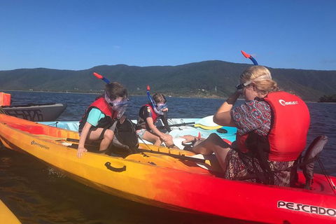 Exclusive Double Island Boat Tours From Palm Cove - Accommodation Port Macquarie 14