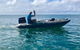 Exclusive Double Island Boat Tours From Palm Cove - thumb 7
