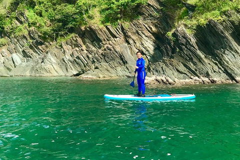 Exclusive Double Island Boat Tours From Palm Cove - Accommodation Port Macquarie 8