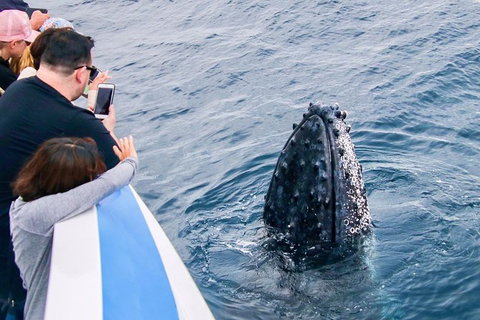 Gold Coast City Card (3 Days Card): Unlimited Attractions - Accommodation Port Macquarie 5