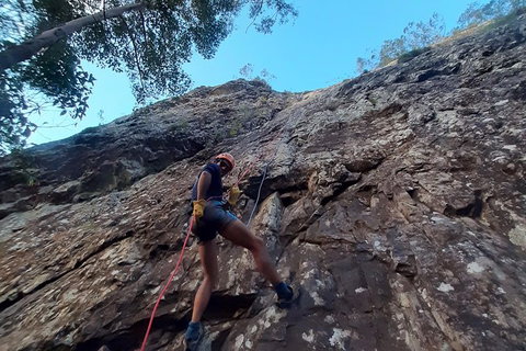 Noosa Hinterland Scenic FAT Bike & Abseil Tour - Accommodation Port Macquarie 7