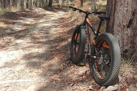 Noosa Hinterland Scenic FAT Bike & Abseil Tour - Accommodation Port Macquarie 1