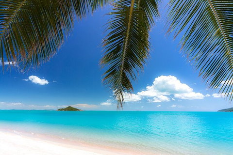 Reef, Wildlife & Rainforest - Reef & Beyond Guided Holidays - Accommodation Port Macquarie 4