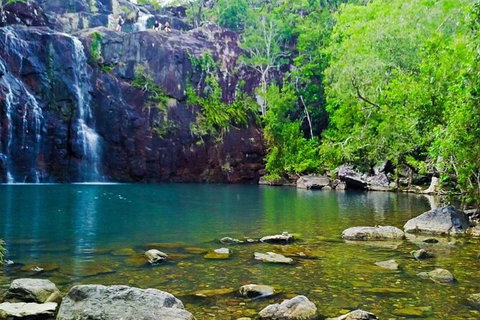 Reef, Wildlife & Rainforest - Reef & Beyond Guided Holidays - Accommodation Port Macquarie 0