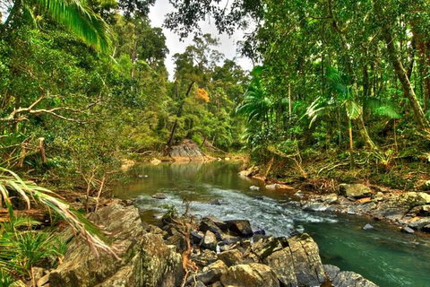 Reef, Wildlife & Rainforest - Reef & Beyond Guided Holidays - Accommodation Port Macquarie 3