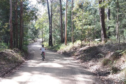 Noosa Hinterland Scenic Canoe & FAT Bike Tour - Accommodation Port Macquarie 4