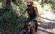 Noosa Hinterland Scenic Canoe & FAT Bike Tour - thumb 7