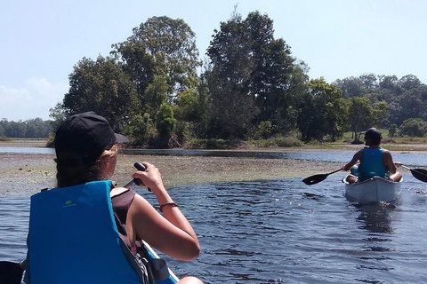 Noosa Hinterland Scenic Canoe & FAT Bike Tour - Accommodation Port Macquarie 0