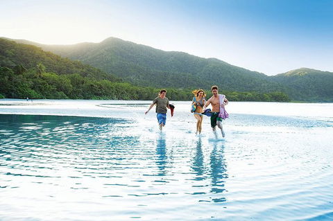 SHUTTLE - CAIRNS AIRPORT TO PORT DOUGLAS (or Reverse) - Accommodation Port Macquarie 1