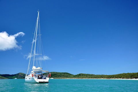 Sailing Curlew Escape On Moreton Bay - Accommodation Port Macquarie 0