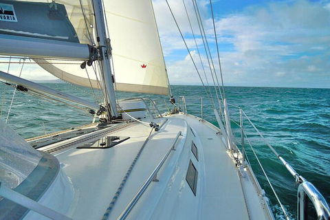 Sailing Curlew Escape On Moreton Bay - Accommodation Port Macquarie 7