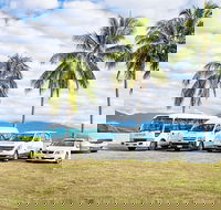 Private Transfers - Cairns Airport to Cairns City - Accommodation Port Macquarie