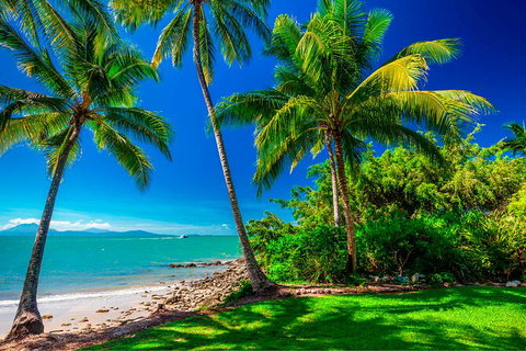 SHUTTLE - Port Douglas And Craiglie Return Transfer - Accommodation Port Macquarie 2