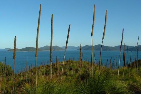 7-Day Private Sea Kayaking In Whitsundays - Accommodation Port Macquarie 8