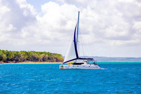 5 Night Bareboat Onboard Cattitude - Accommodation Port Macquarie 0