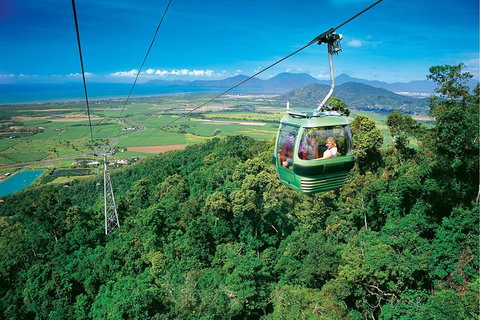 Day Tour To Kuranda, Rainforest And Port Douglas With Flight - Accommodation Port Macquarie 5