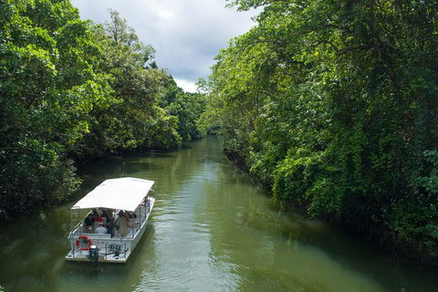 World Heritage Highlights: Reef/Daintree/Cape Tribulation - Accommodation Port Macquarie 1