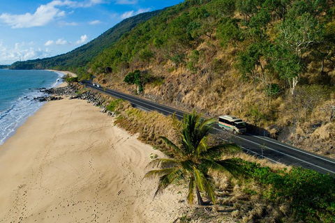 World Heritage Highlights: Reef/Daintree/Cape Tribulation - Accommodation Port Macquarie 5