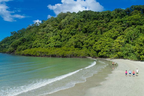 World Heritage Highlights: Reef/Daintree/Cape Tribulation - Accommodation Port Macquarie 12