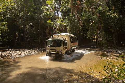 World Heritage Highlights: Reef/Daintree/Cape Tribulation - Accommodation Port Macquarie 6