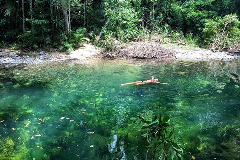 World Heritage Highlights: Reef/Daintree/Cape Tribulation - Accommodation Port Macquarie 4