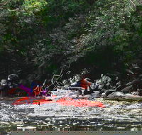 Mossman Gorge Adventure Day - Accommodation Port Macquarie