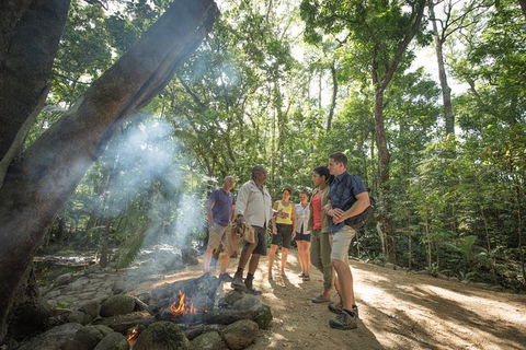 Mossman Gorge Adventure Day - Accommodation Port Macquarie 2