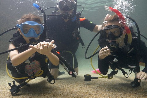 Scuba Kids- Padi Bubblemaker Course - Accommodation Port Macquarie 4